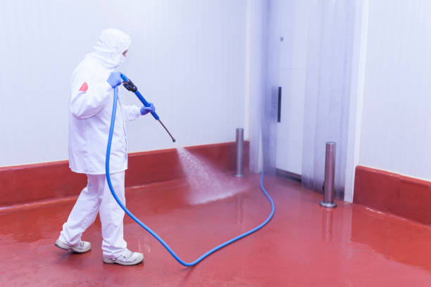 Trusted Meadow Vista, CA Pressure Washing Services Experts